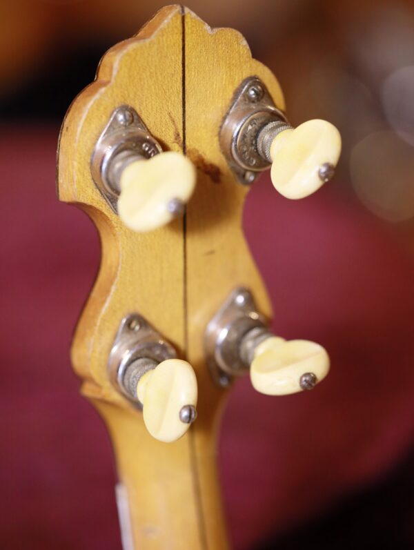 vega whyte laydie banjo (11)