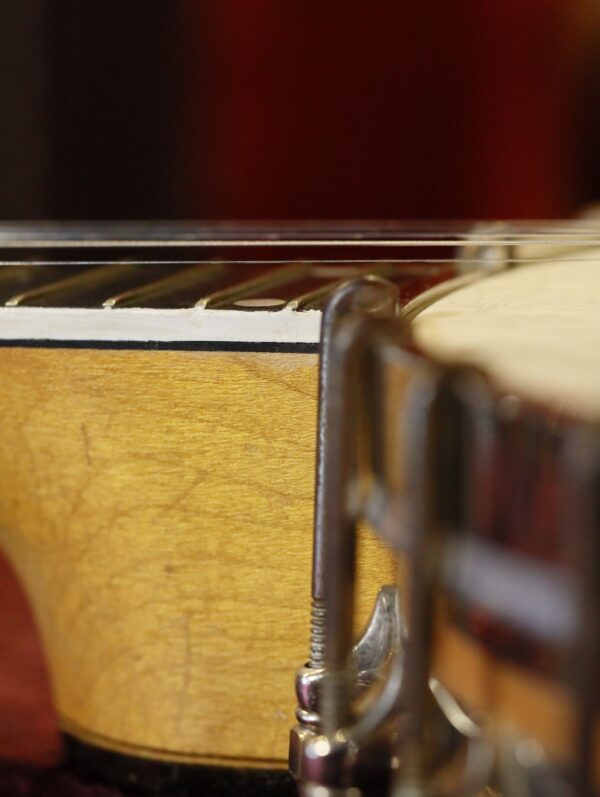 vega whyte laydie banjo (13)