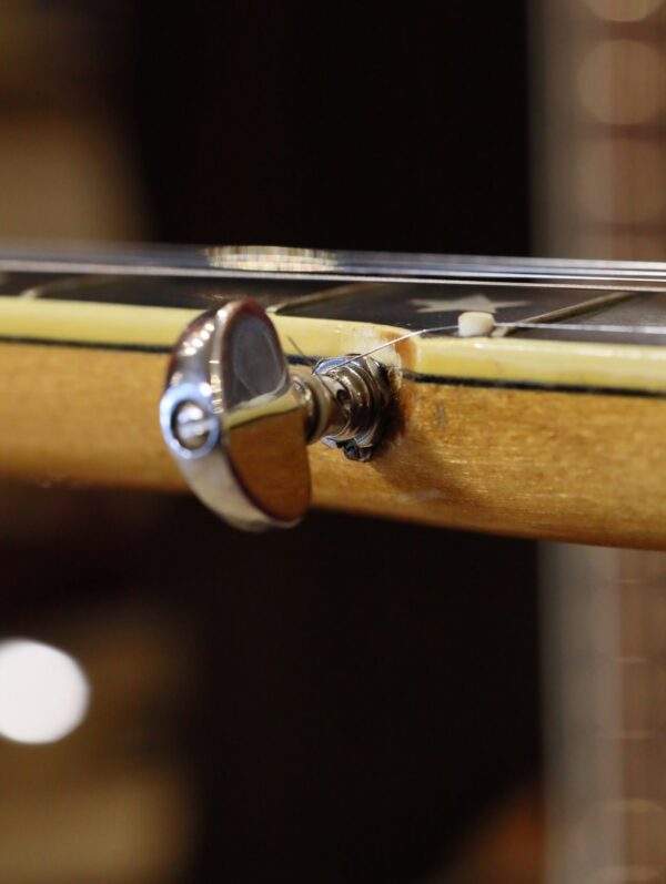vega whyte laydie banjo (14)