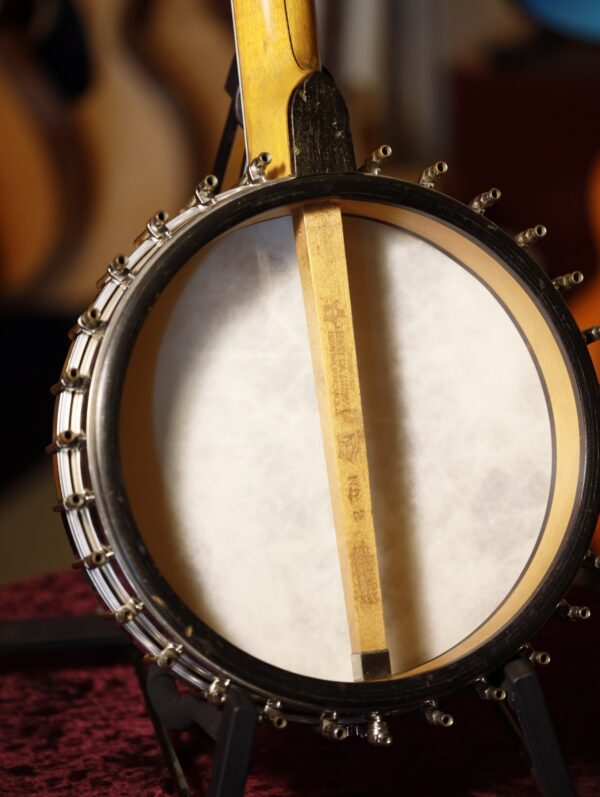 vega whyte laydie banjo (15)