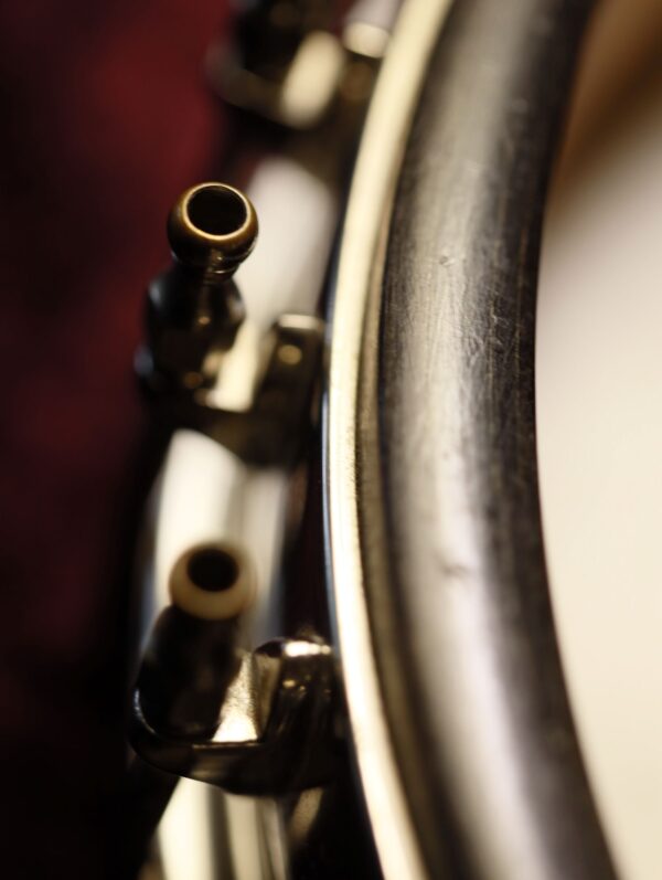 vega whyte laydie banjo (4)