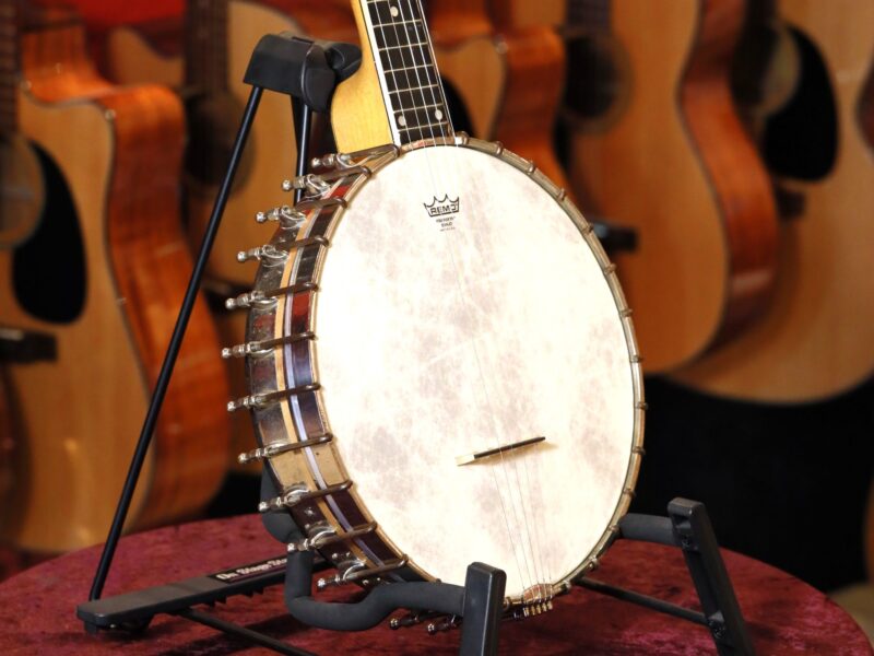 vega whyte laydie banjo