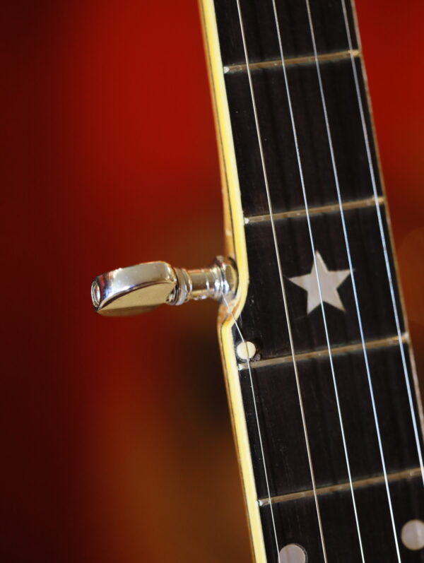 vega whyte laydie banjo (9)