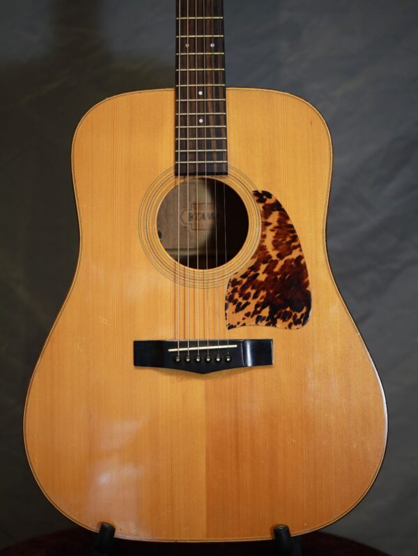 tama g 80 dreadnought guitar (1)