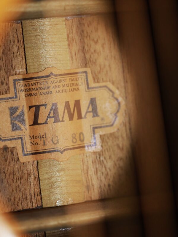 tama g 80 dreadnought guitar (5)