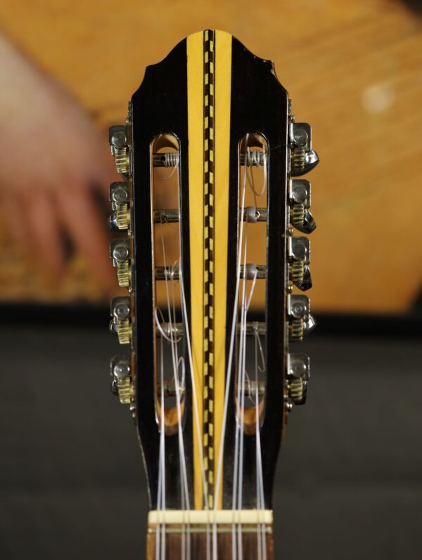charango by alandres bolivia headstock