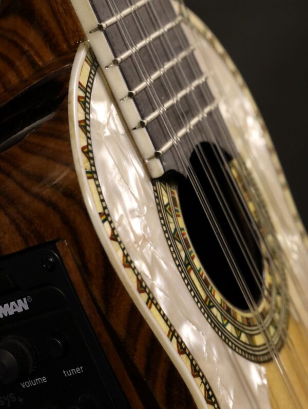 charango by alandres with fishman pick up (11)