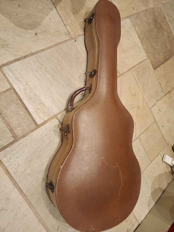 vintage guitar electric guitar case