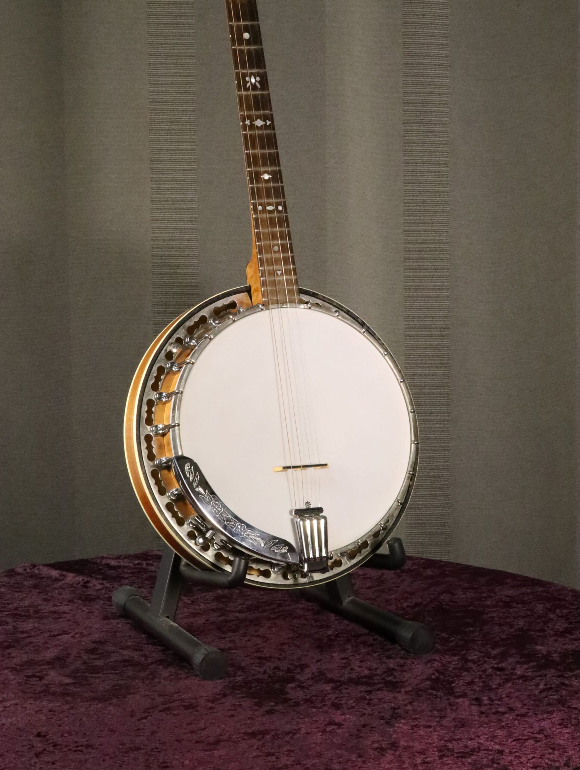 buckmaster tenor banjo