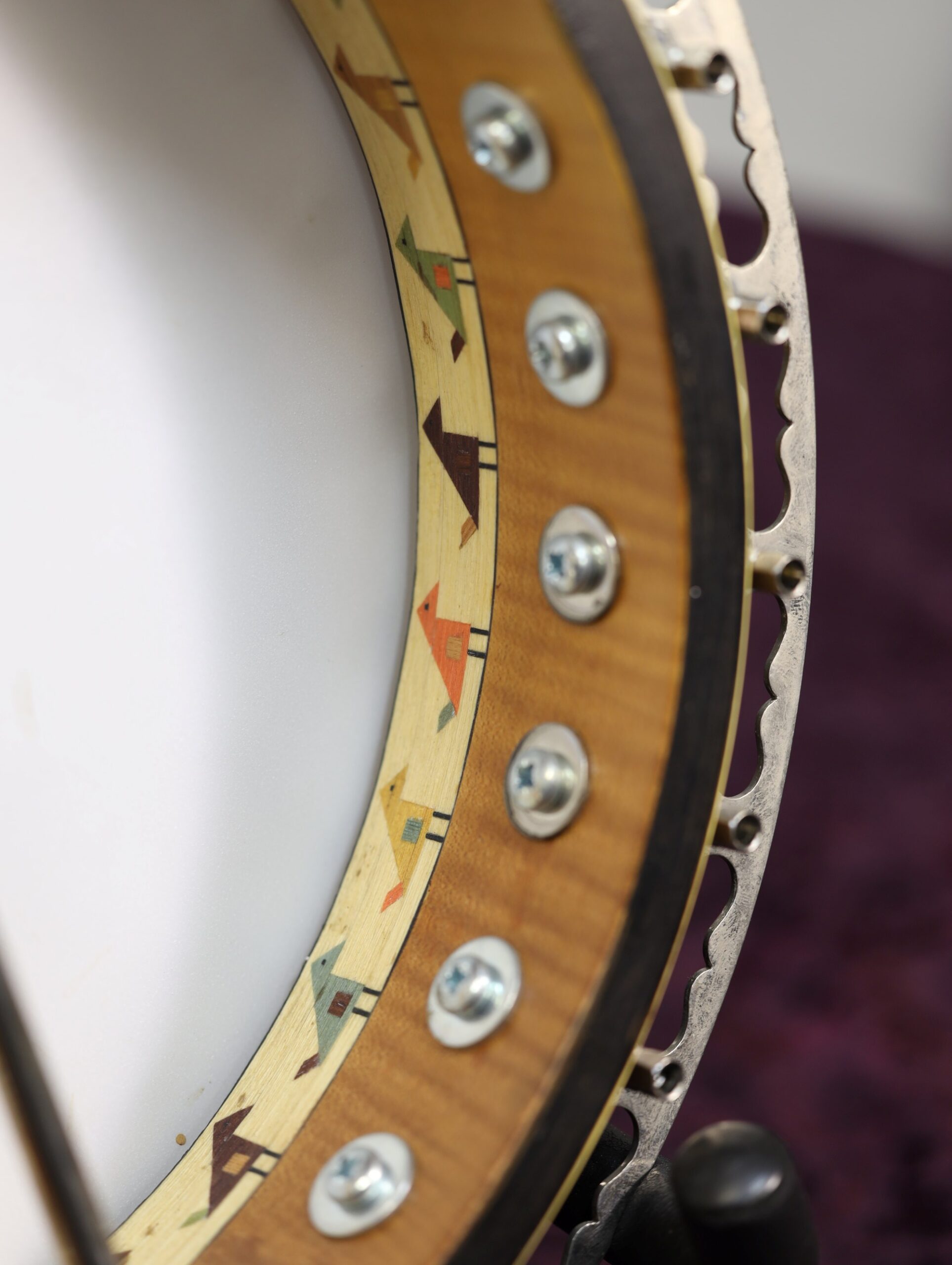 buckmaster tenor banjo shell (1)