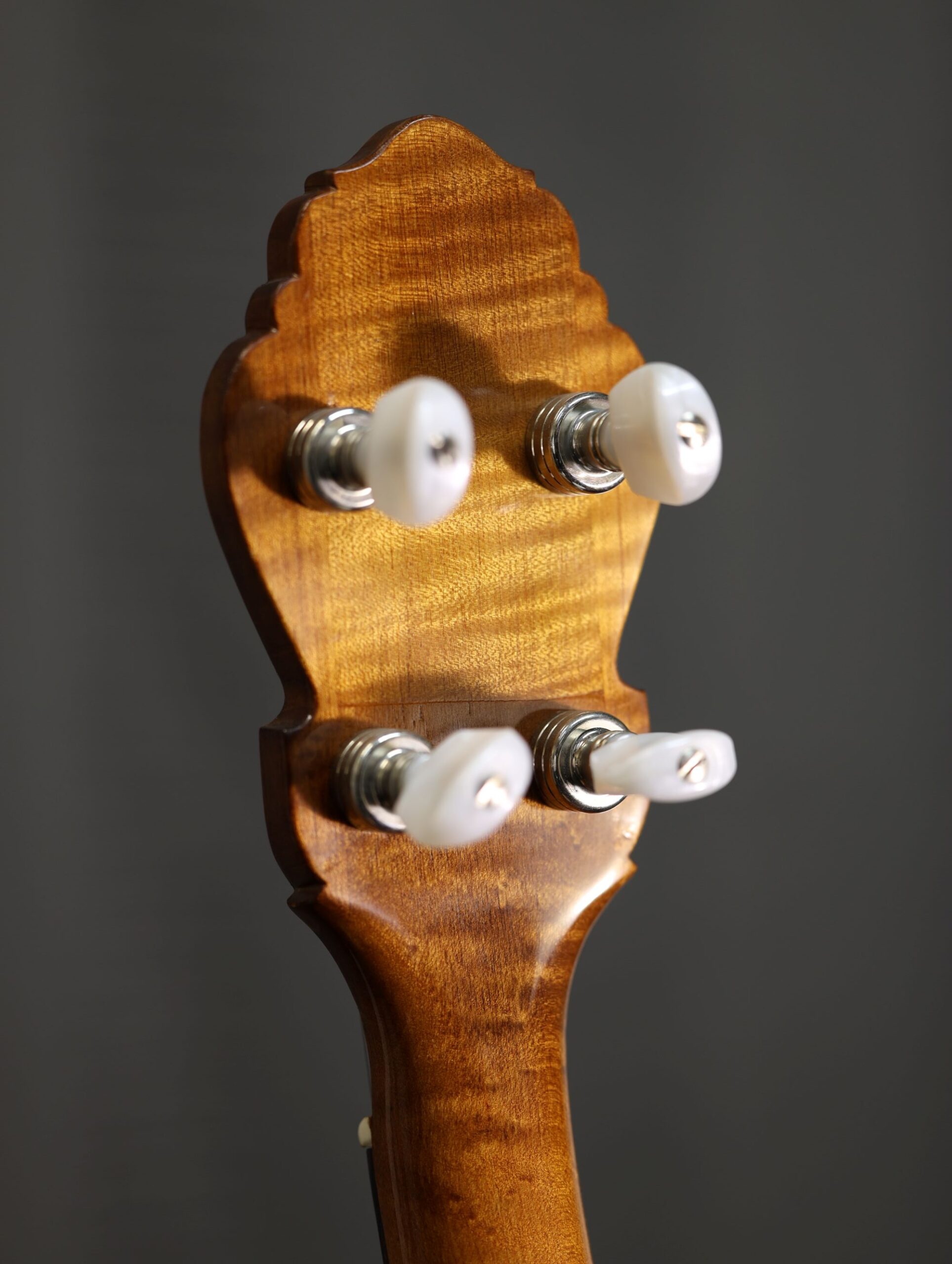 buckmaster tenor banjo shell (3)