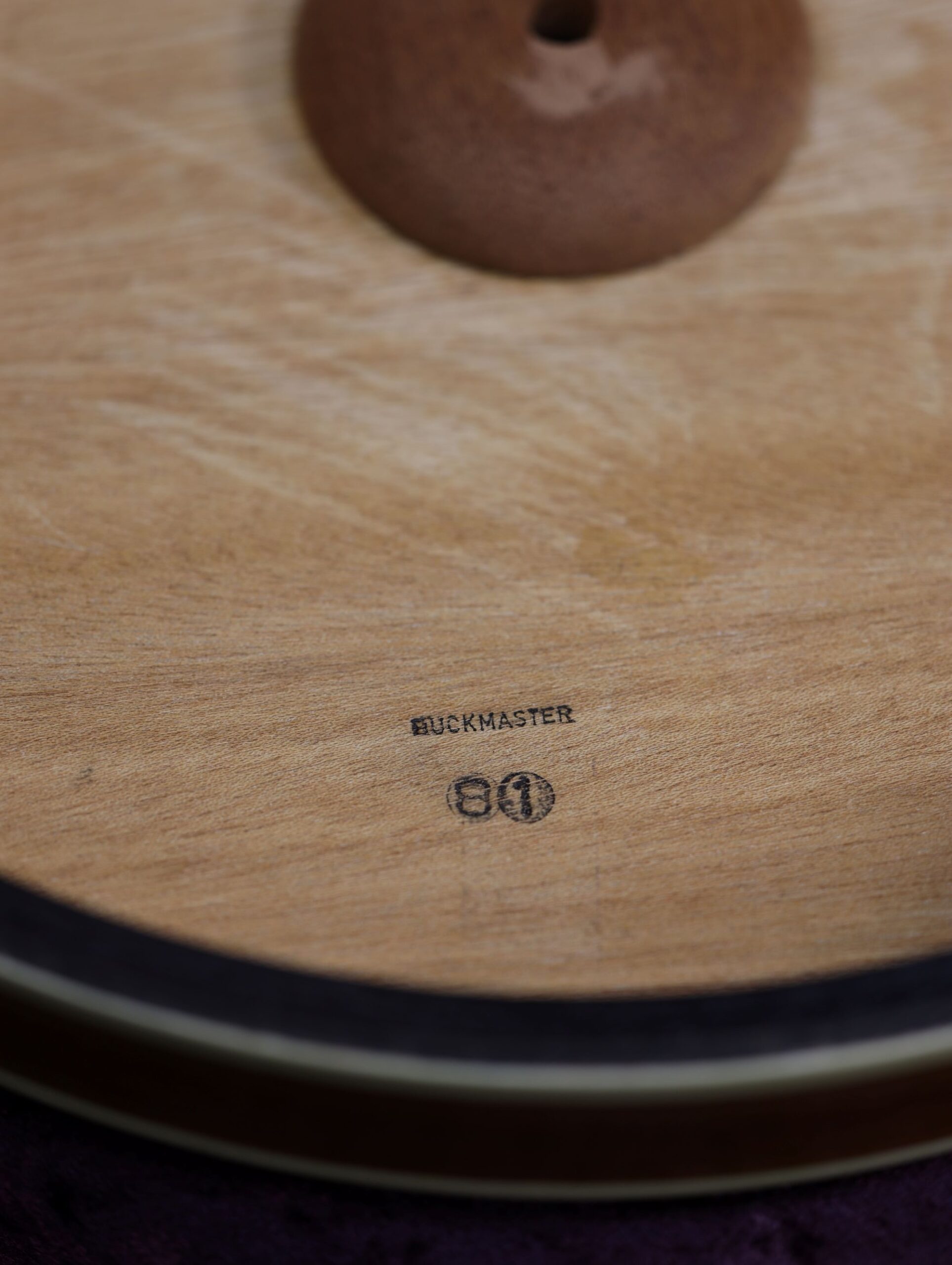 buckmaster tenor banjo shell (4)