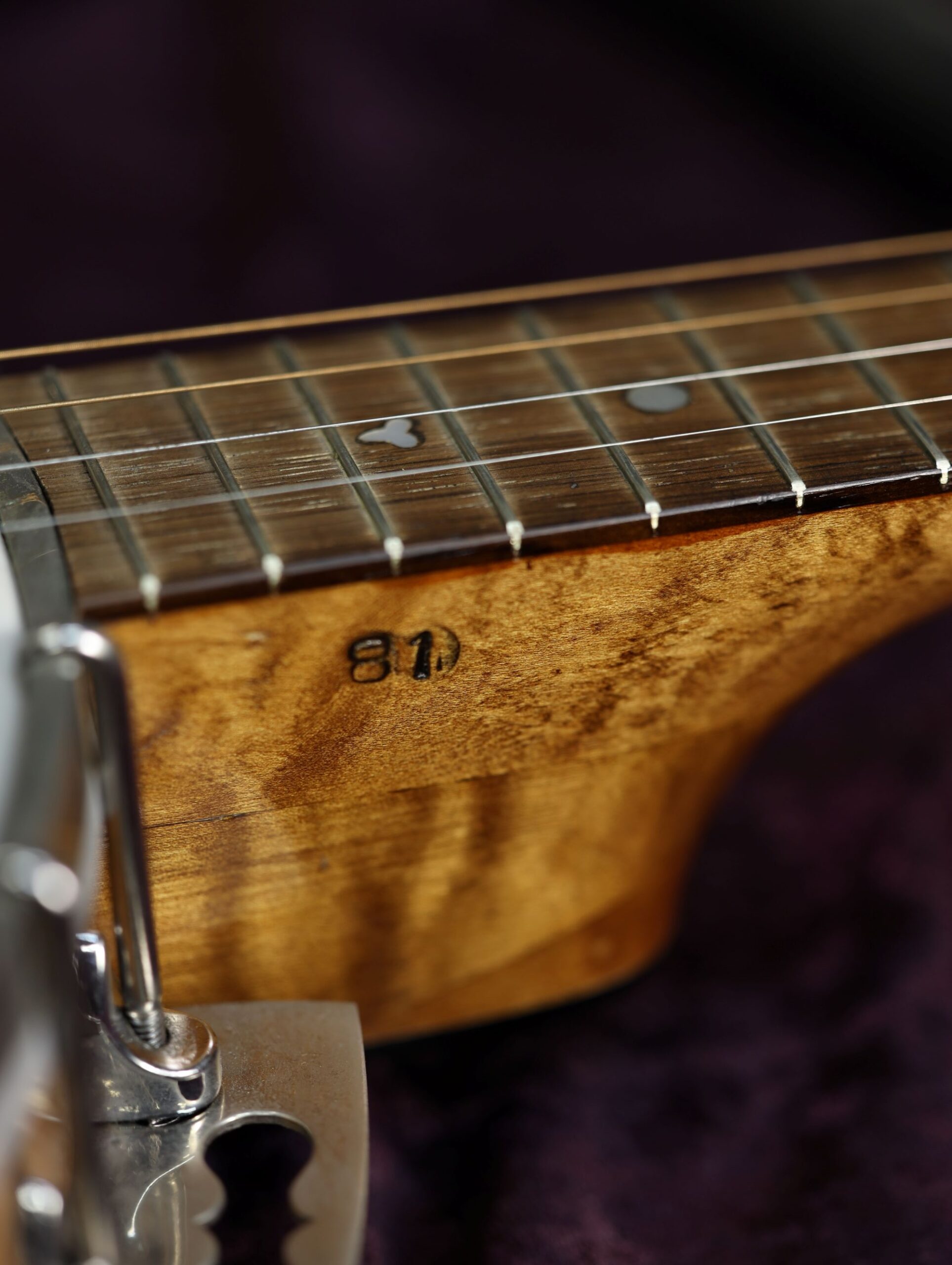 buckmaster tenor banjo shell (5)