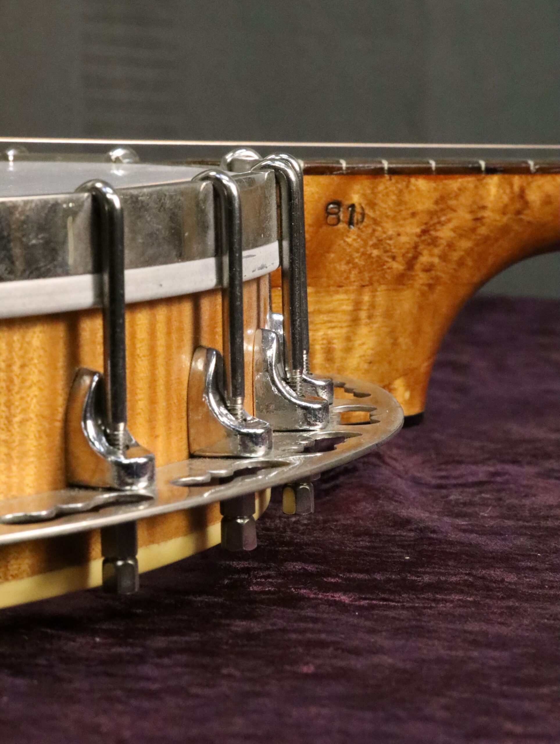 buckmaster tenor banjo shell (6)