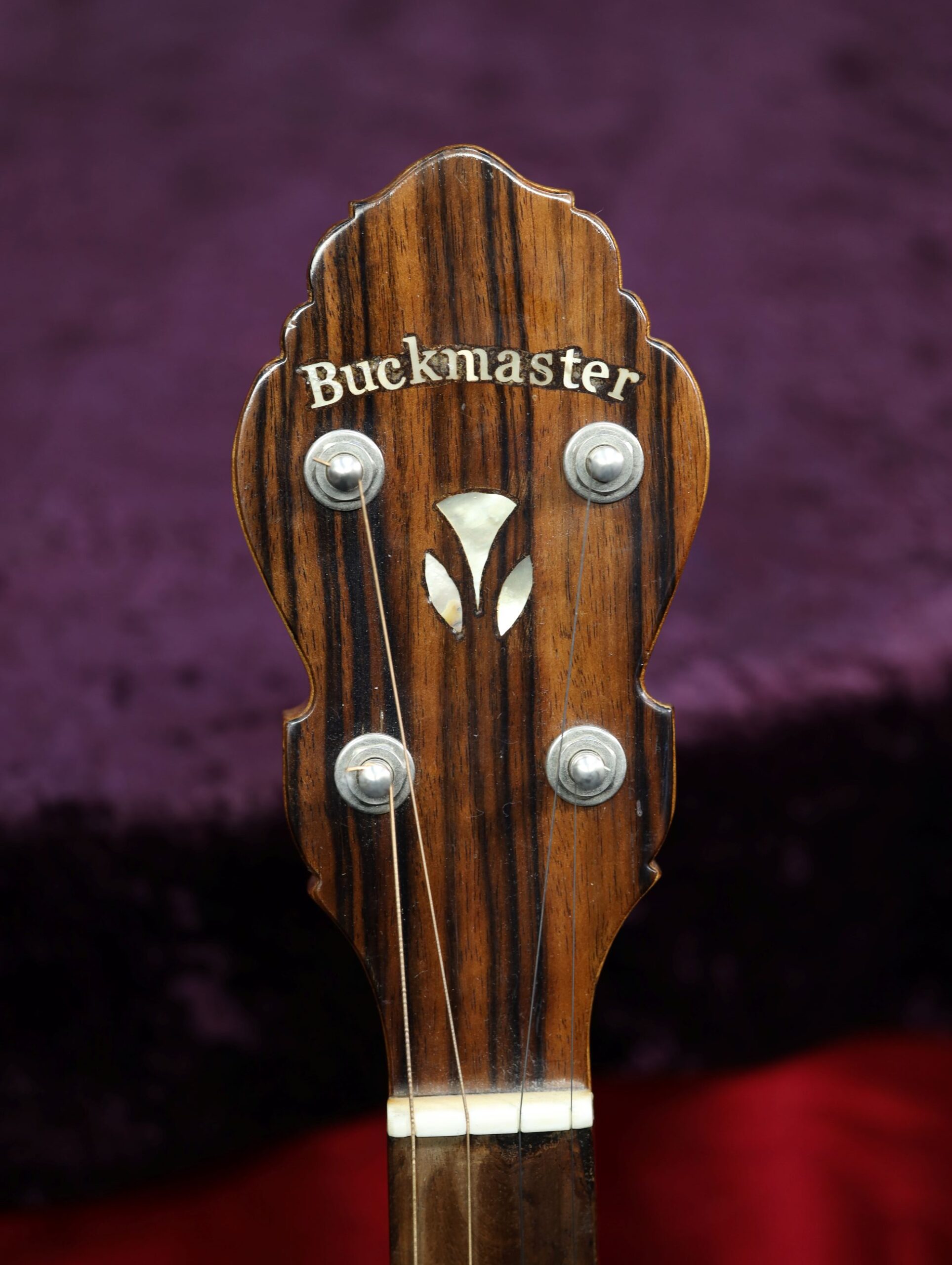 buckmaster tenor banjo shell (7)