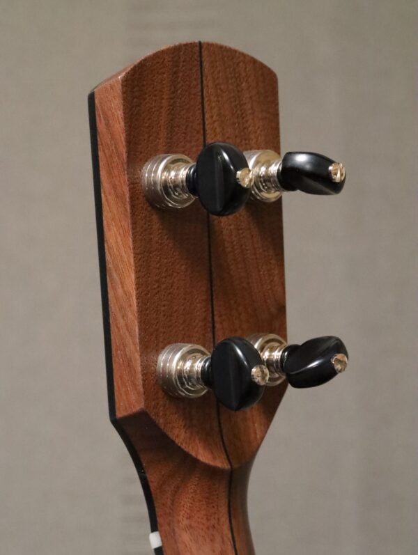 pisgah rambler banjo gotoh tuners