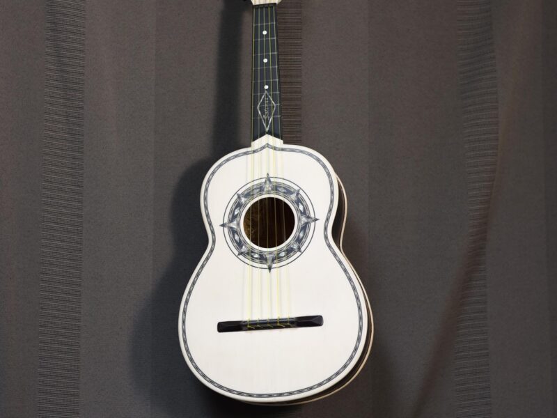 vihuela by salinas mexico