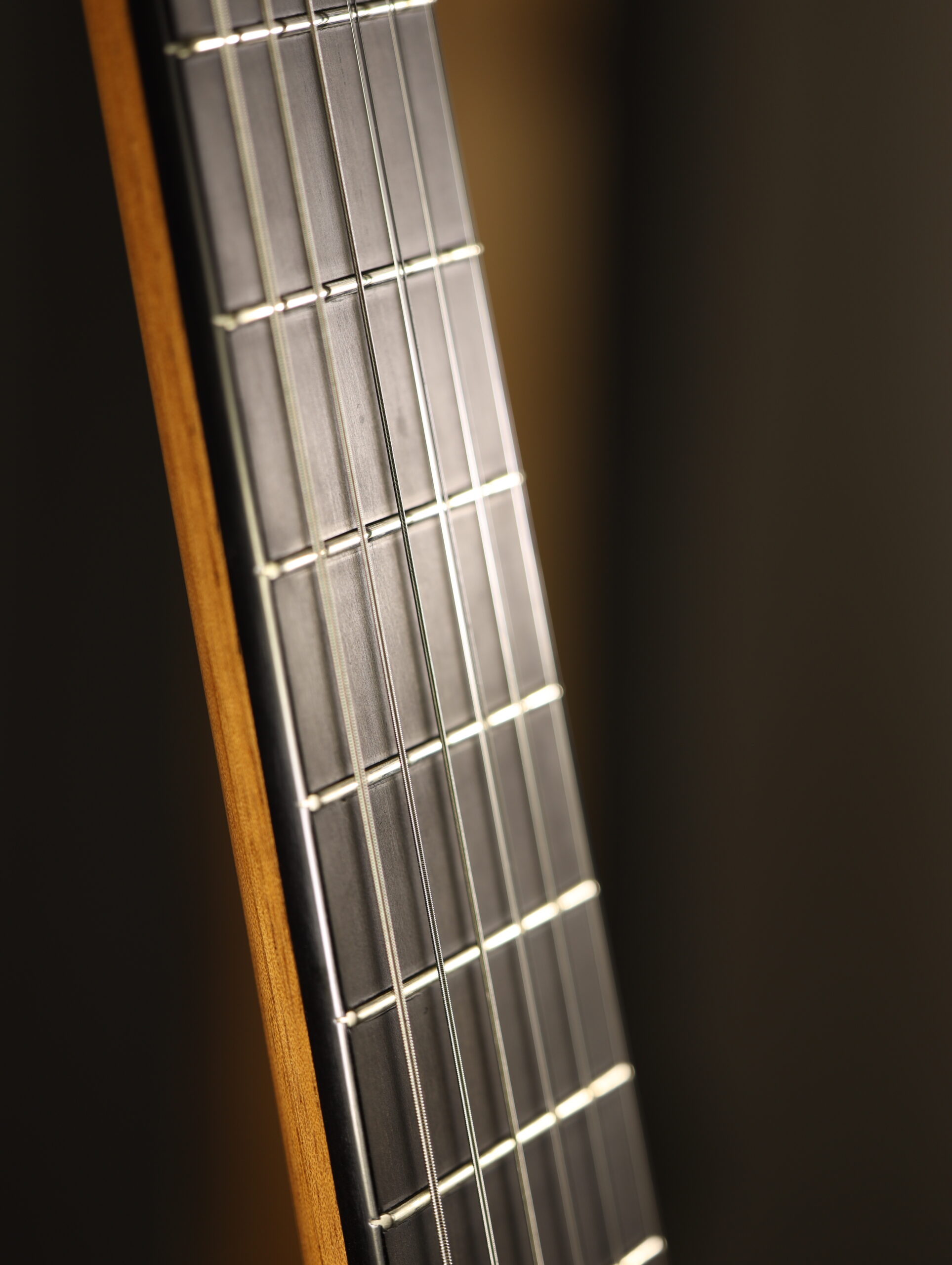 altamira torres 1888 classical (10)