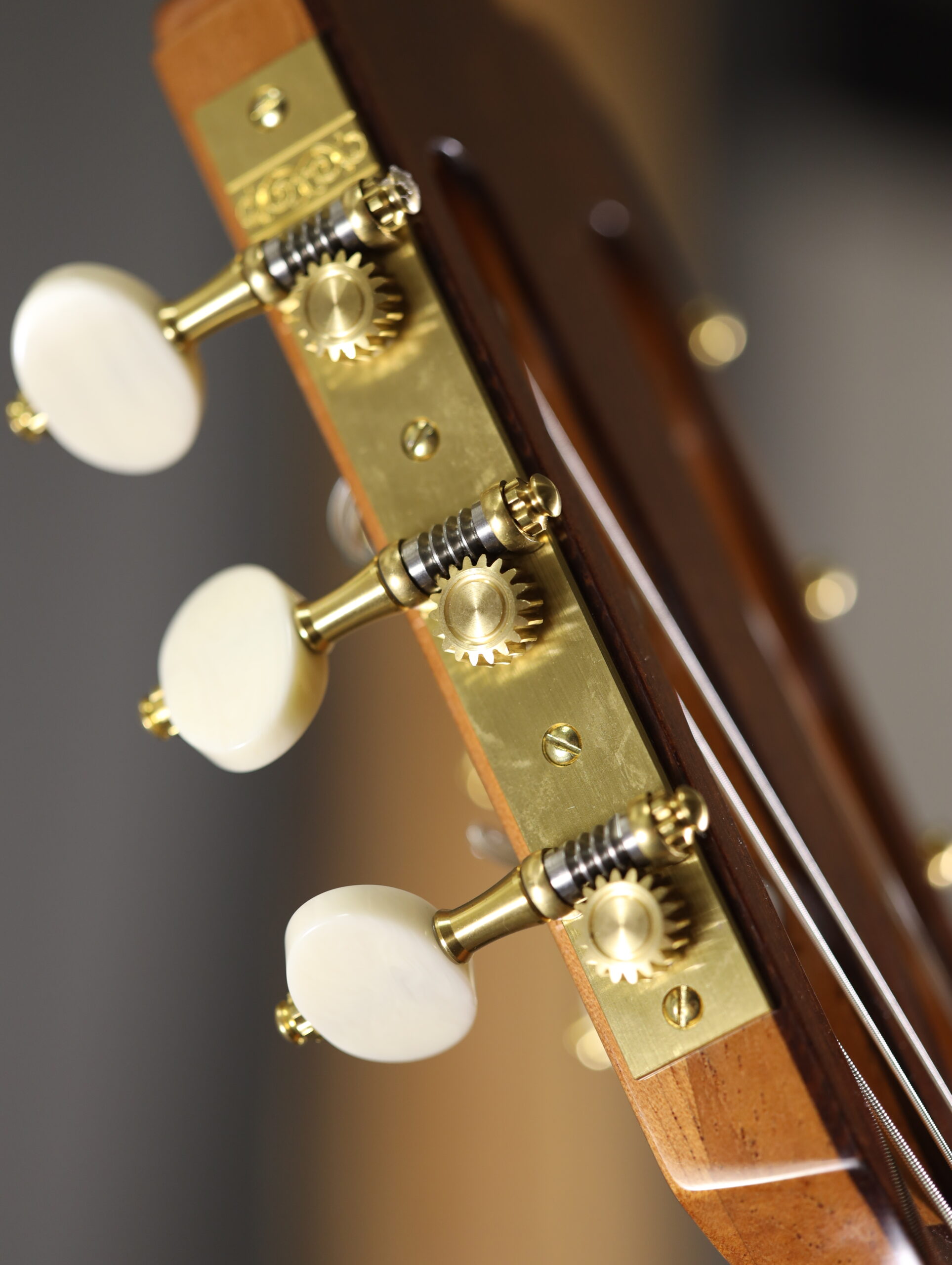 altamira torres 1888 classical (11)