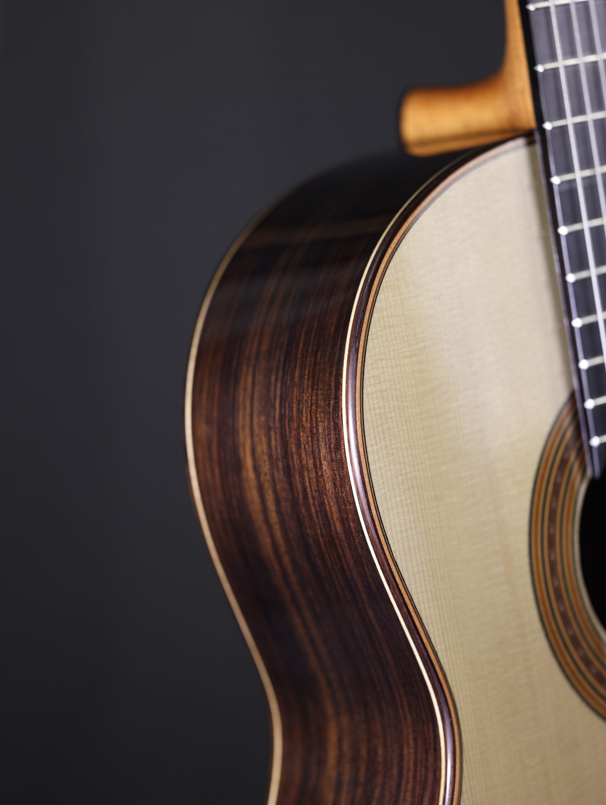 altamira torres 1888 classical (5)