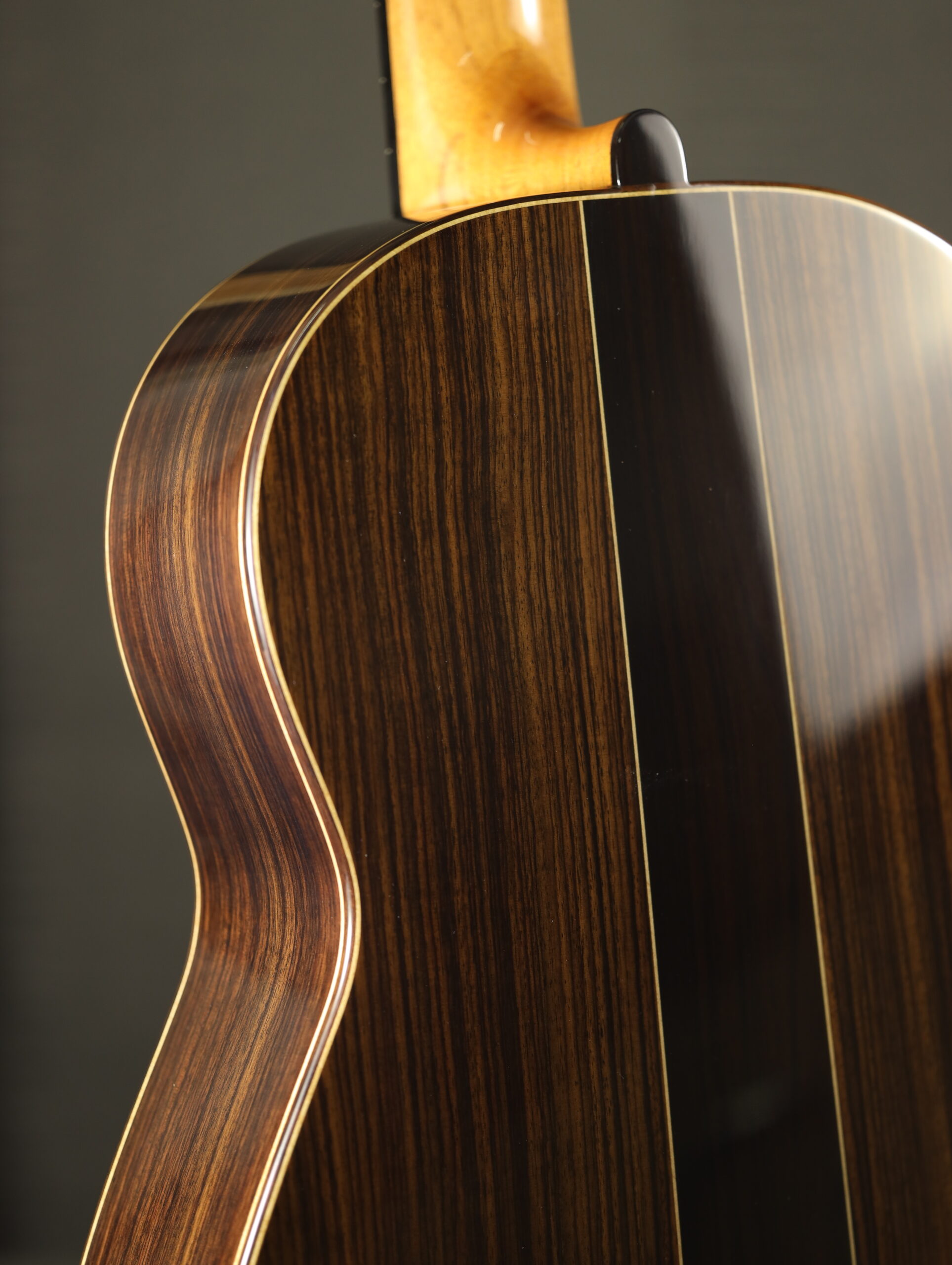 altamira torres 1888 classical (6)