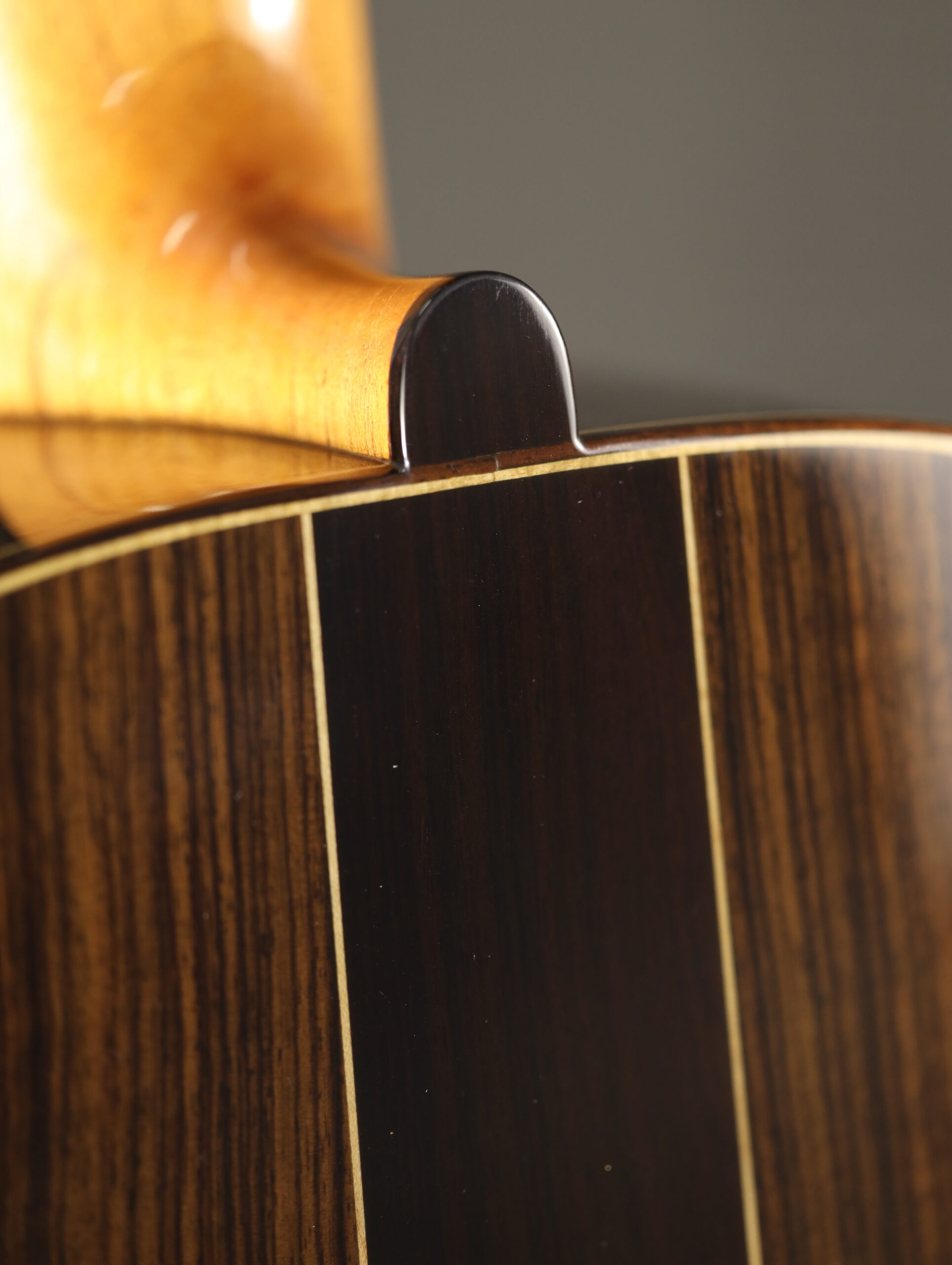 altamira torres 1888 classical (7)