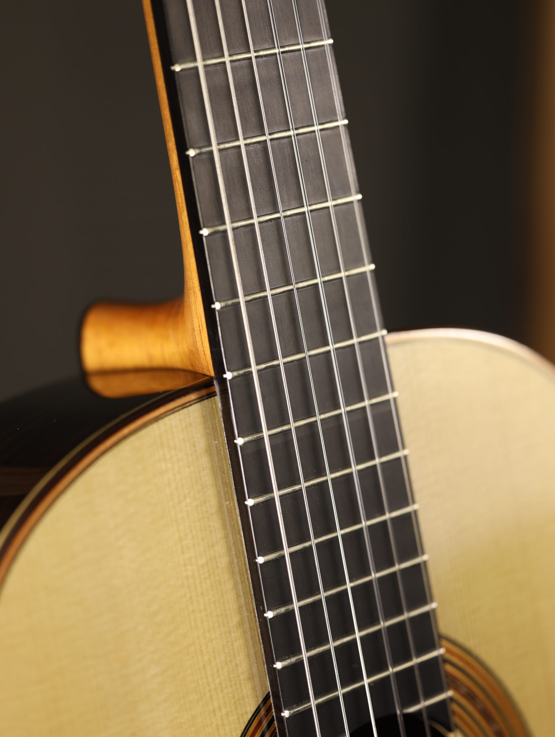 altamira torres 1888 classical (8)