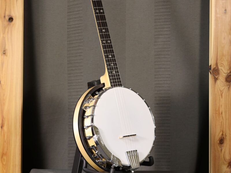 gold tone cc 100r banjo