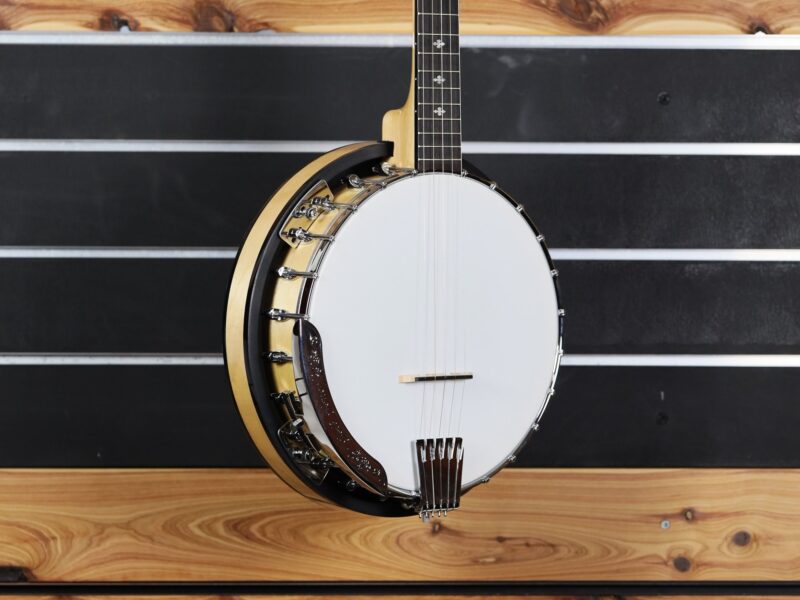 gold tone cc 100r banjo