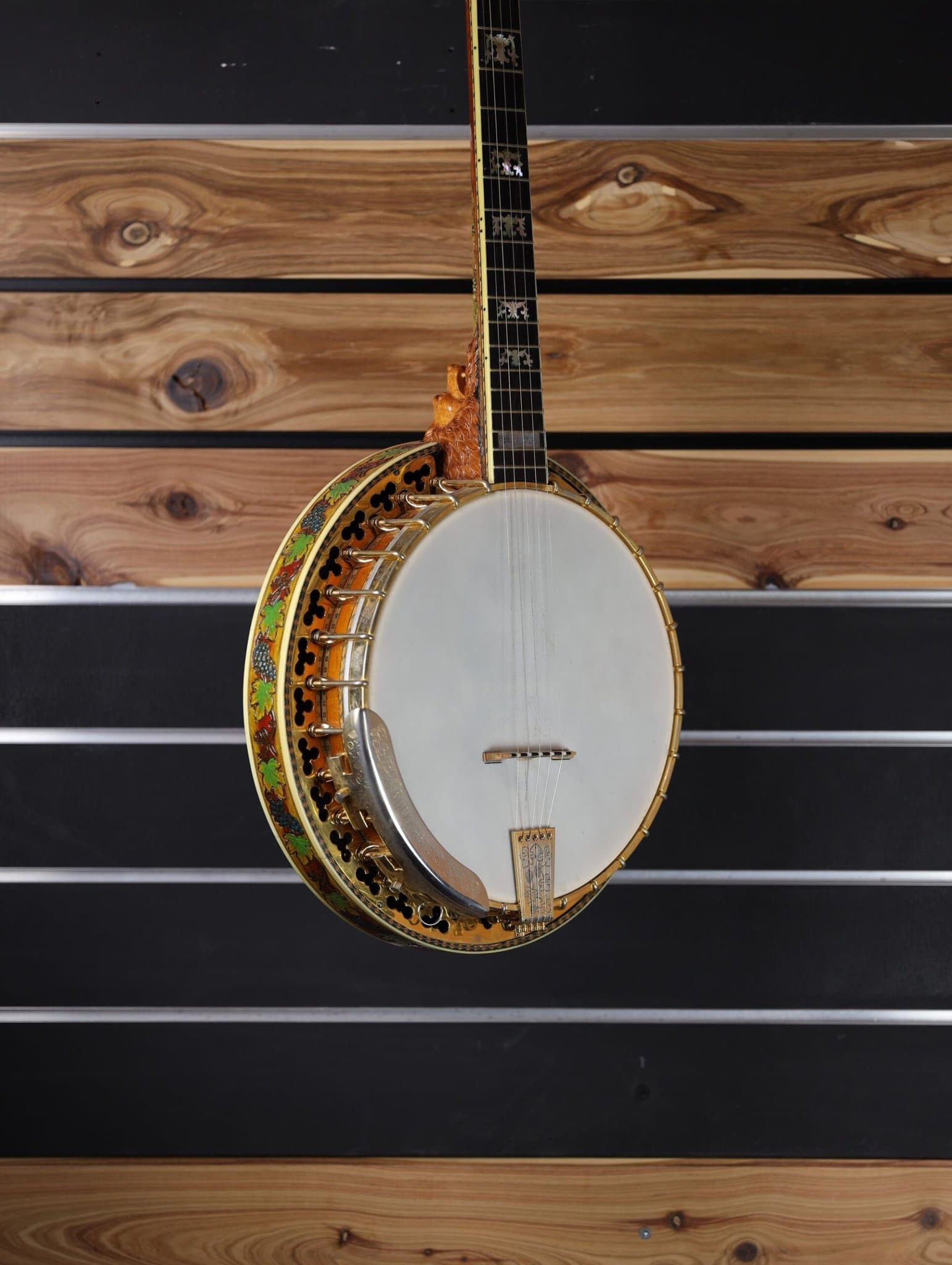 buckmaster special 5 string banjo