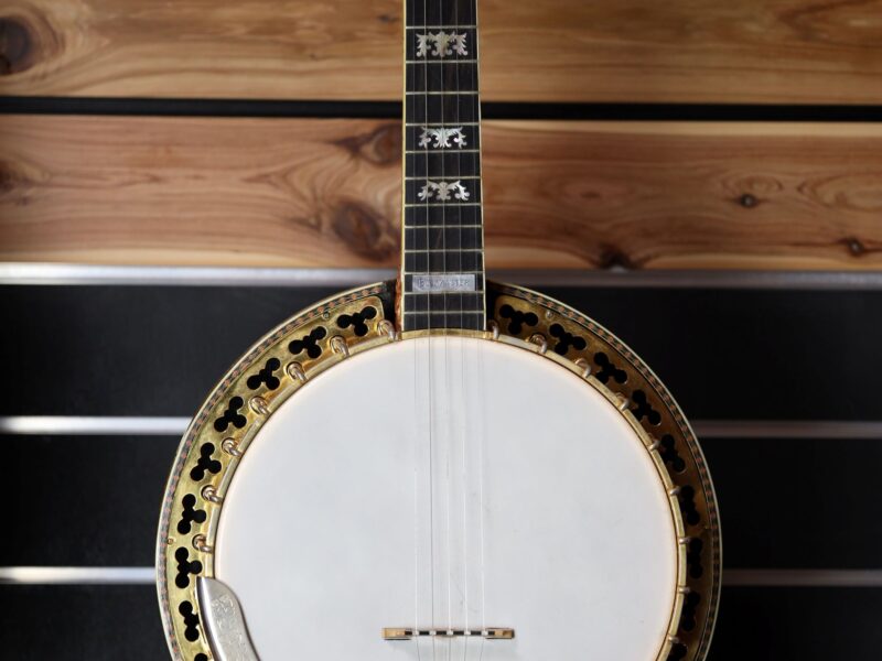 buckmaster special 5 string banjo