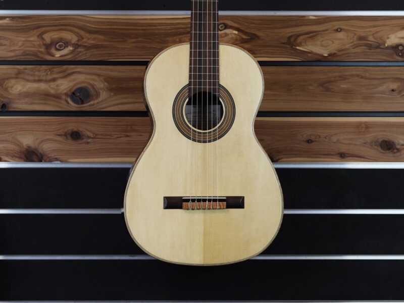 vicente arias 1875 copy 2015