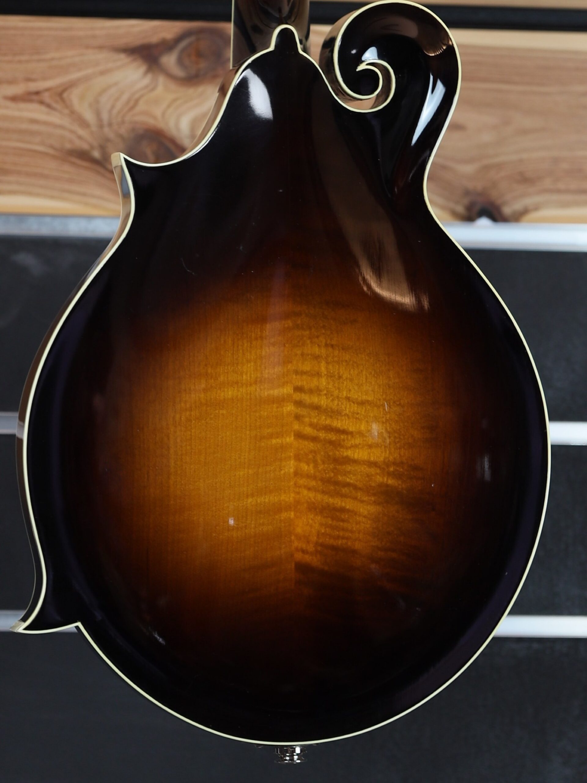 kentucky km 1000 mandolin back