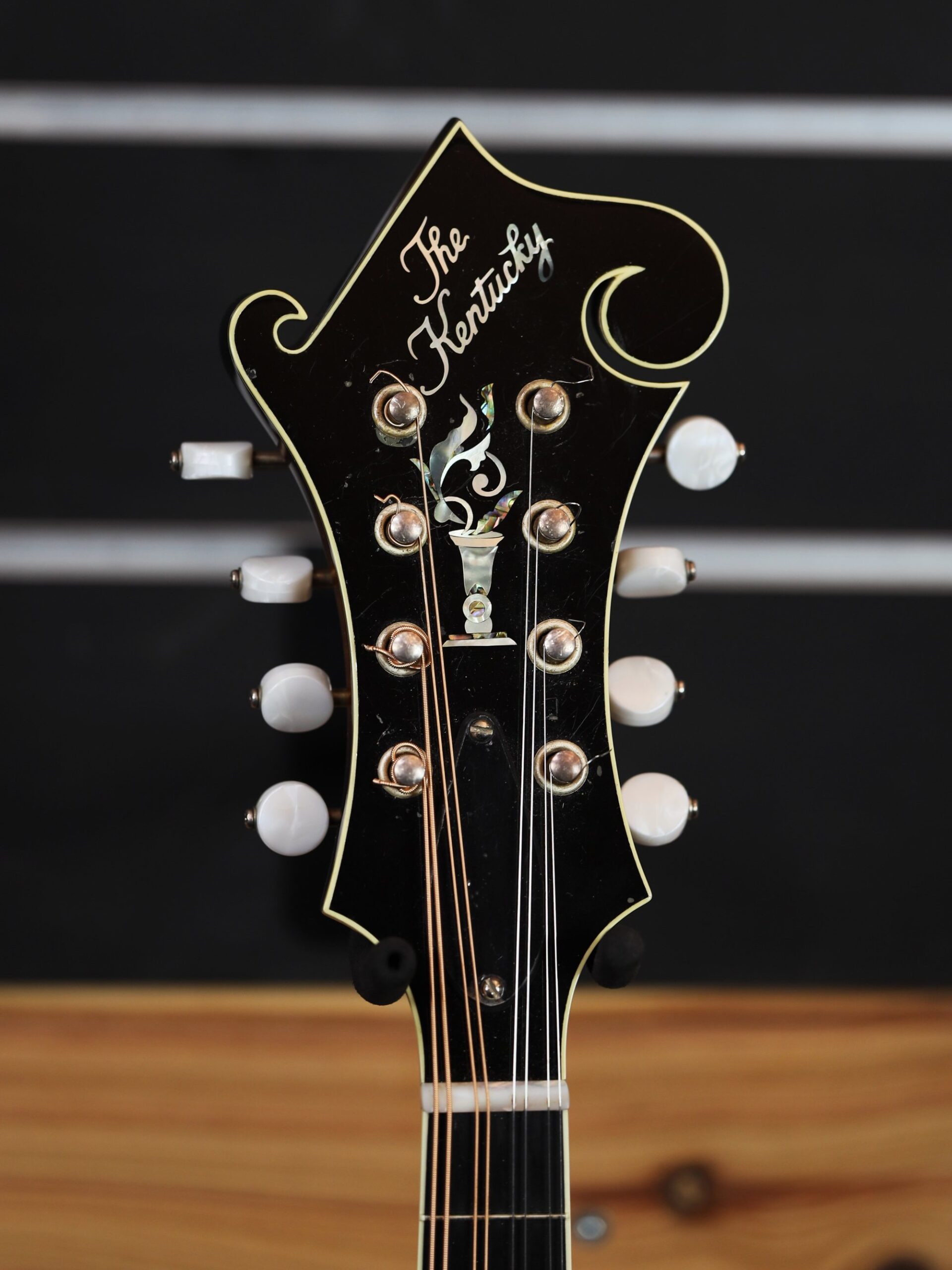 kentucky km 1000 mandolin peghead