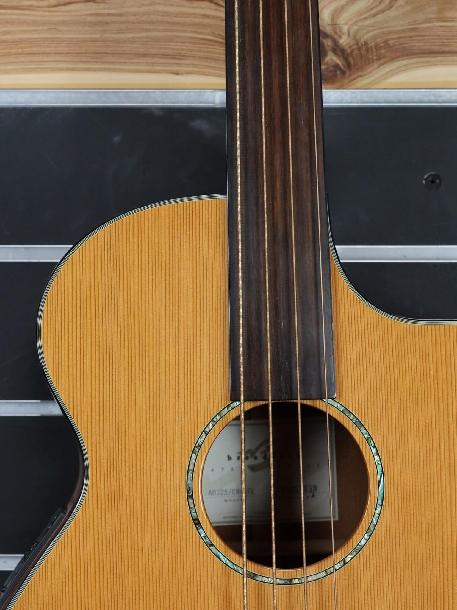 breedlove fretless bass guitar (1)