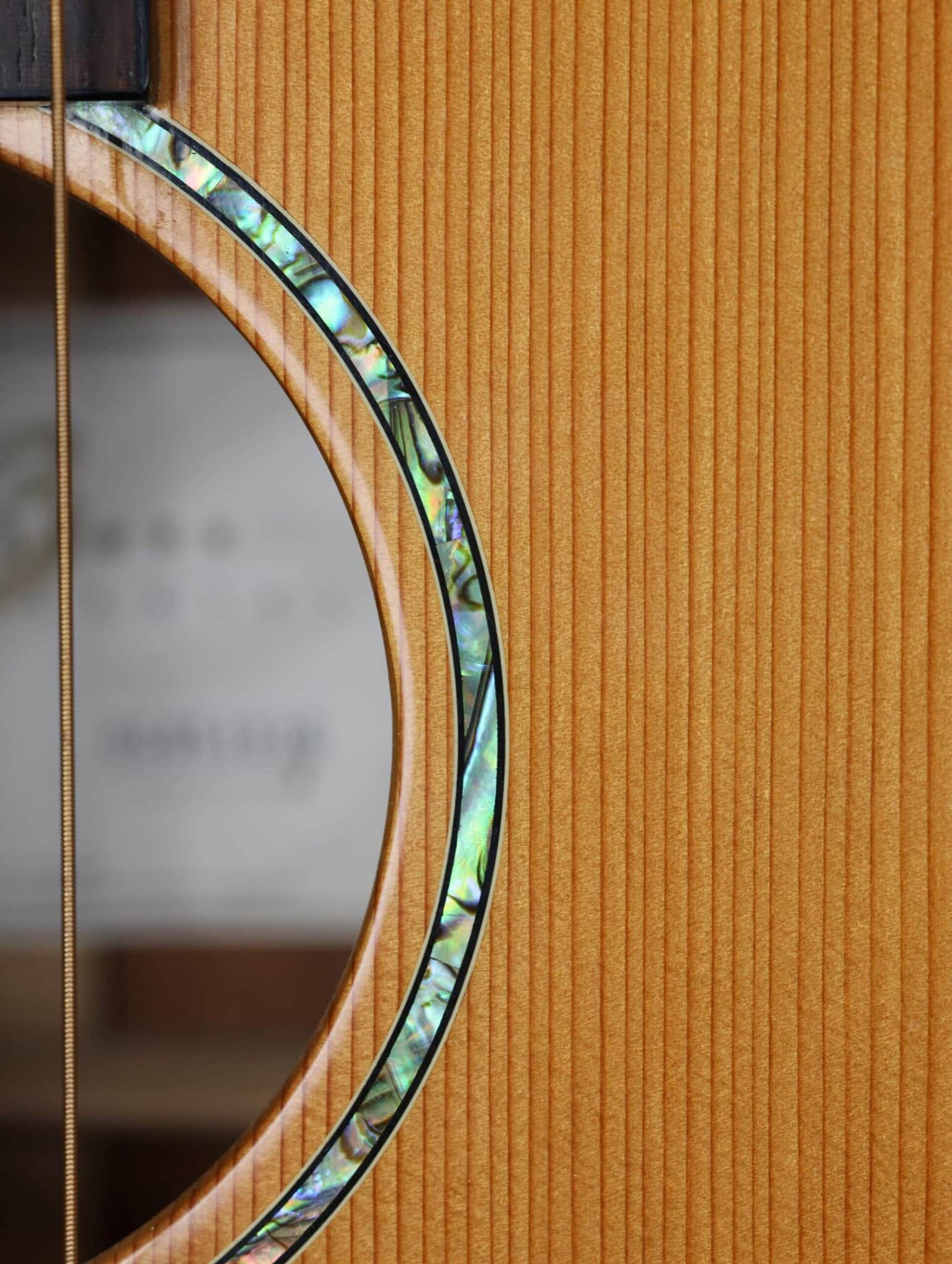 breedlove fretless bass guitar (4)