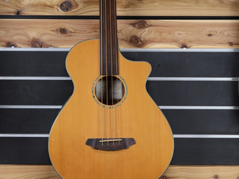 breedlove fretless bass guitar