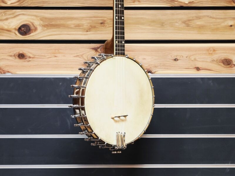 vega style m tenor banjo