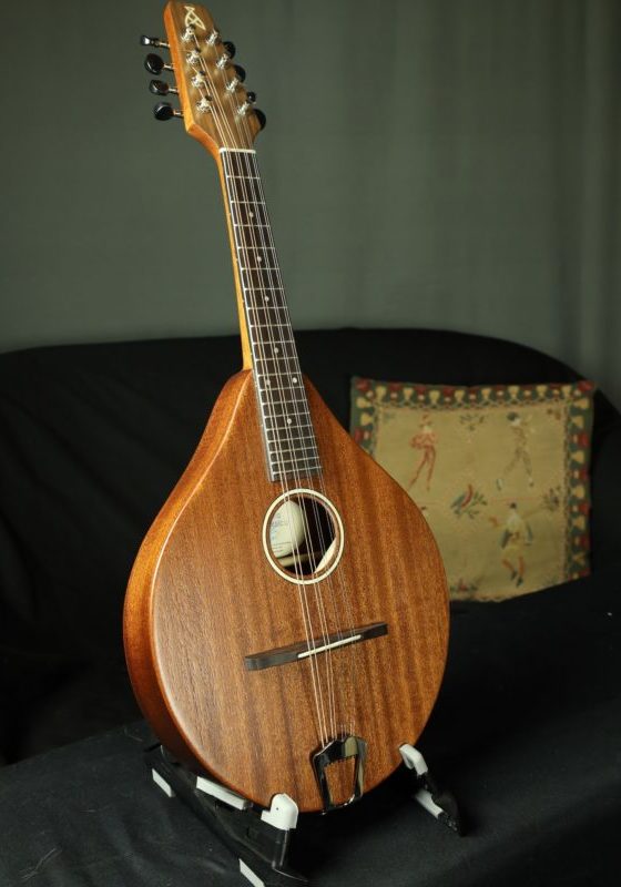 ashbury am 130 mandolin