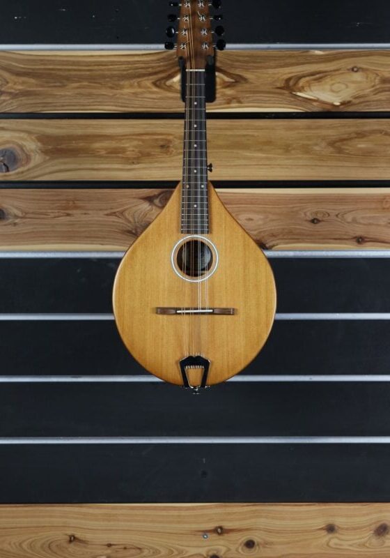 ashbury am mandolin range