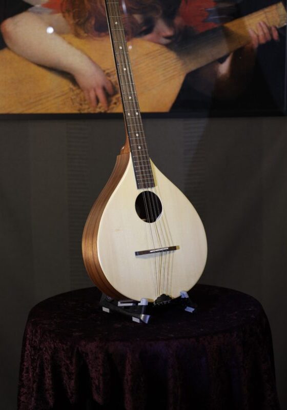 ashbury r ib irish bouzouki