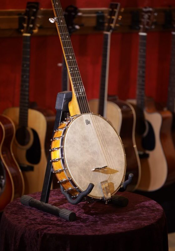 banjo openback by pat doole