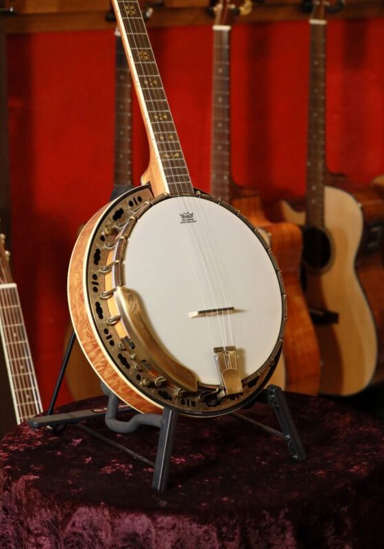 barnes mullins troubadour banjo
