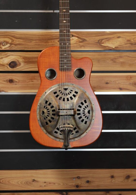 beard trailhead resonator guitar