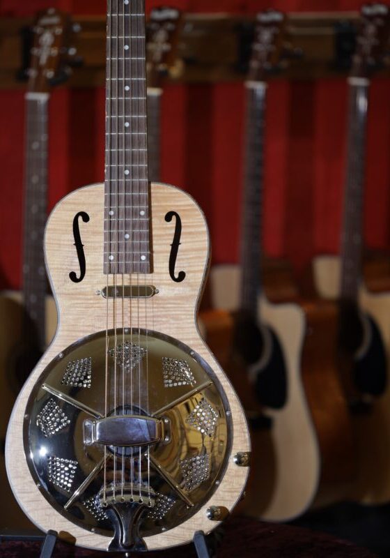 bourbon street p1c w resonator guitar