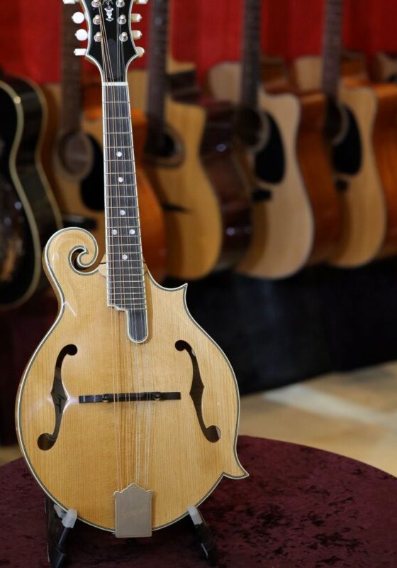 bourgeois m5 f model mandolin