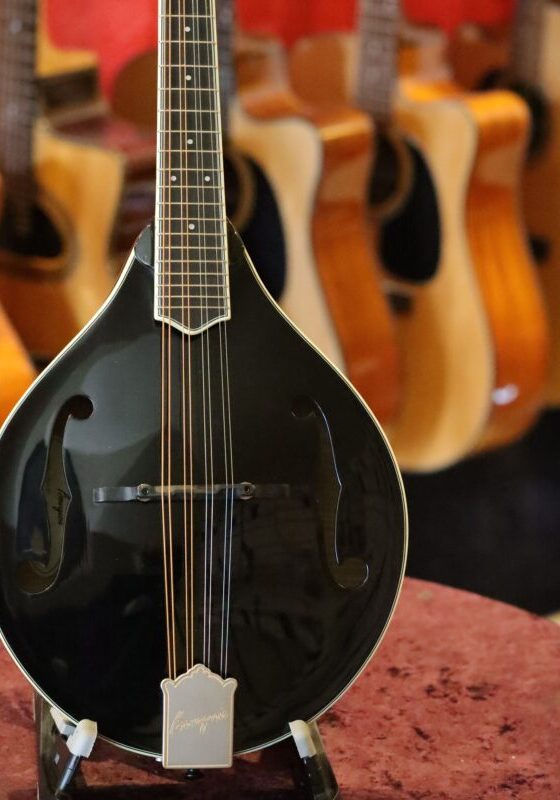 bourgeois touchstone series m5 a mandolin