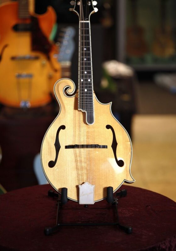 bourgeois touchstone series m5 f model mandolin