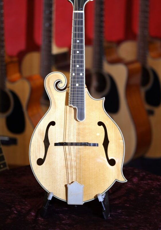 bourgeois touchstone series m5 f model mandolin