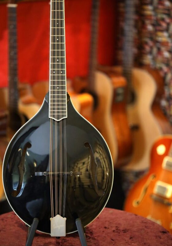 bourgeois touchstone series m5a octave mandolin